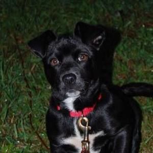 Meet your Posher, Deb